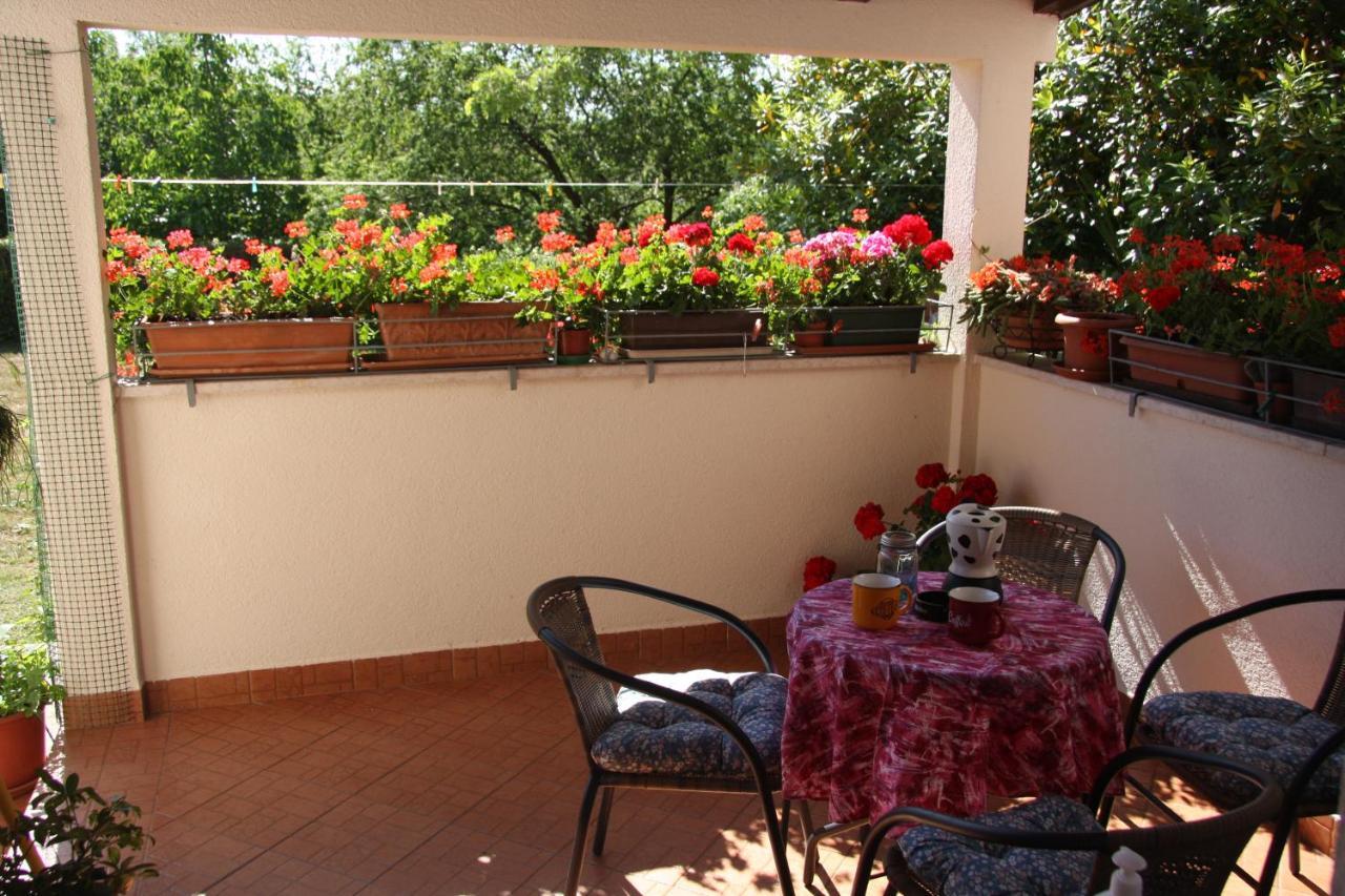 Apartman Rino Bašanija 外观 照片