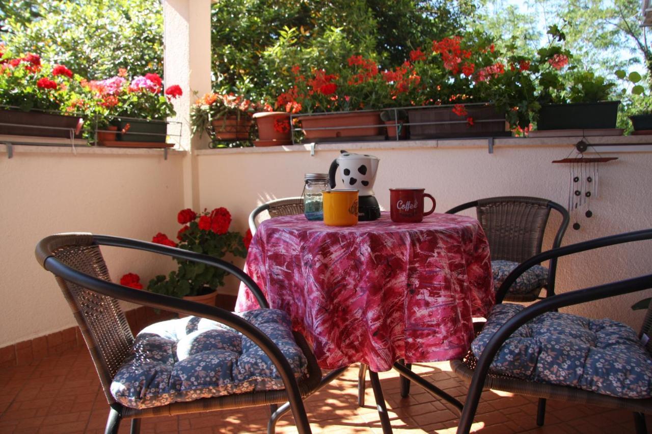 Apartman Rino Bašanija 外观 照片